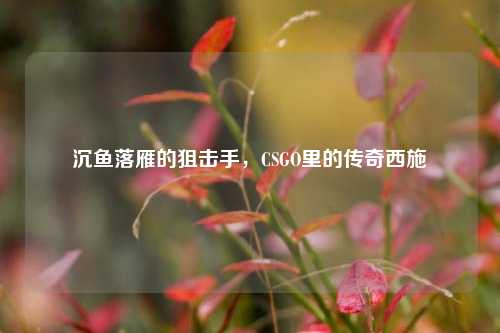 沉鱼落雁的狙击手，CSGO里的传奇西施