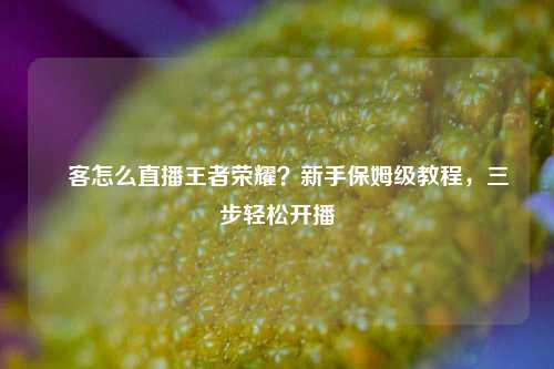 眏客怎么直播王者荣耀?新手保姆级教程,三步轻松开播