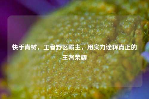 快手青树,王者野区霸主,用实力诠释真正的王者荣耀