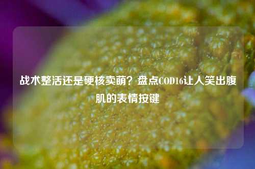 战术整活还是硬核卖萌？盘点COD16让人笑出腹肌的表情按键