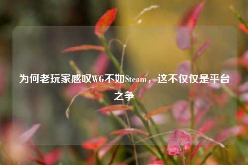 为何老玩家感叹WG不如Steam,这不仅仅是平台之争