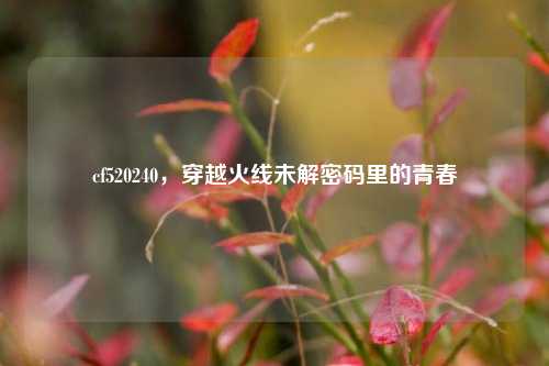 cf520240，穿越火线未解密码里的青春