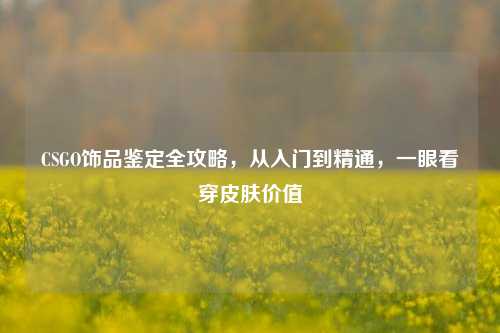 CSGO饰品鉴定全攻略，从入门到精通，一眼看穿皮肤价值
