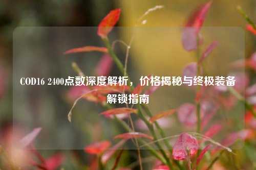 COD16 2400点数深度解析，价格揭秘与终极装备解锁指南