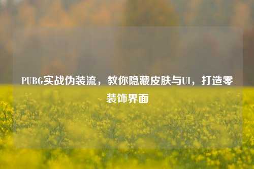 PUBG实战伪装流,教你隐藏皮肤与UI,打造零装饰界面