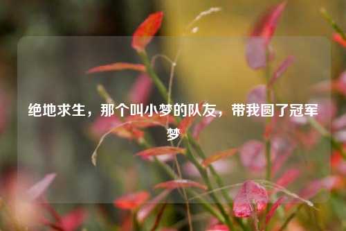 绝地求生，那个叫小梦的队友，带我圆了冠军梦