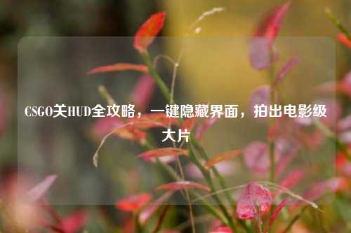 CSGO关HUD全攻略，一键隐藏界面，拍出电影级大片