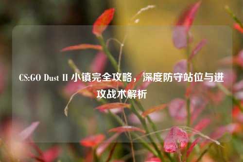 CS:GO Dust II 小镇完全攻略，深度防守站位与进攻战术解析