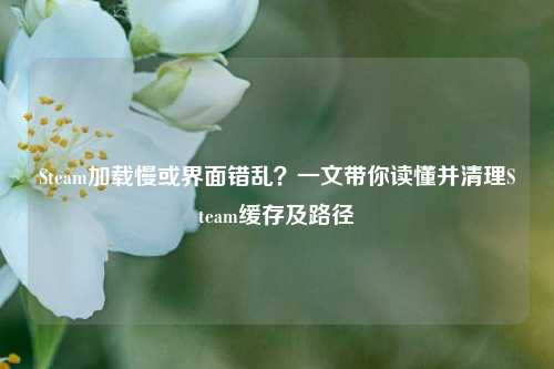 Steam加载慢或界面错乱？一文带你读懂并清理Steam缓存及路径