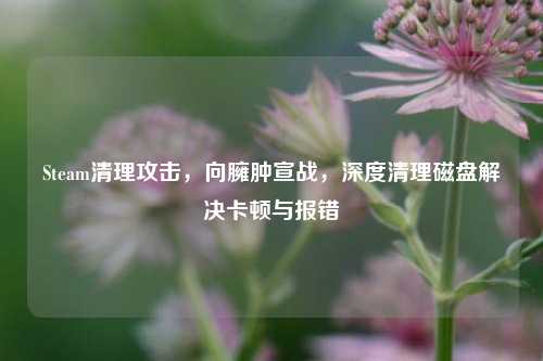 Steam清理攻击,向臃肿宣战,深度清理磁盘解决卡顿与报错