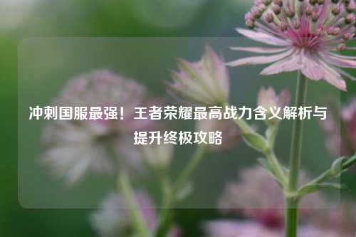 冲刺国服最强！王者荣耀最高战力含义解析与提升终极攻略