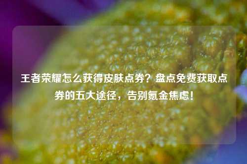 王者荣耀怎么获得皮肤点券？盘点免费获取点券的五大途径，告别氪金焦虑！