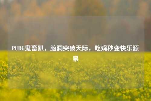 PUBG鬼畜趴，脑洞突破天际，吃鸡秒变快乐源泉