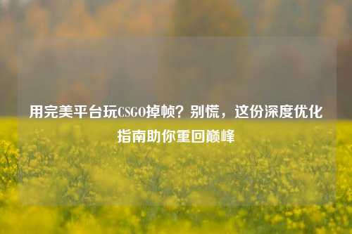 用完美平台玩CSGO掉帧?别慌,这份深度优化指南助你重回巅峰