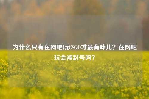 为什么只有在网吧玩CSGO才最有味儿？在网吧玩会被封号吗？