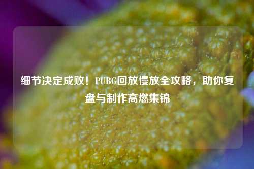细节决定成败！PUBG回放慢放全攻略，助你复盘与制作高燃集锦