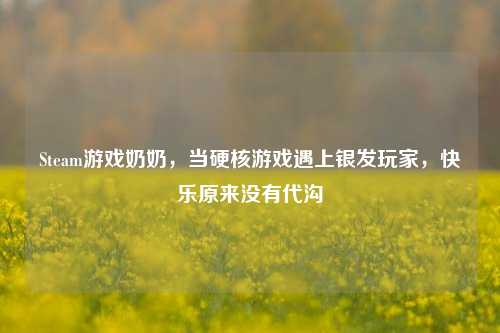 Steam游戏奶奶，当硬核游戏遇上银发玩家，快乐原来没有代沟