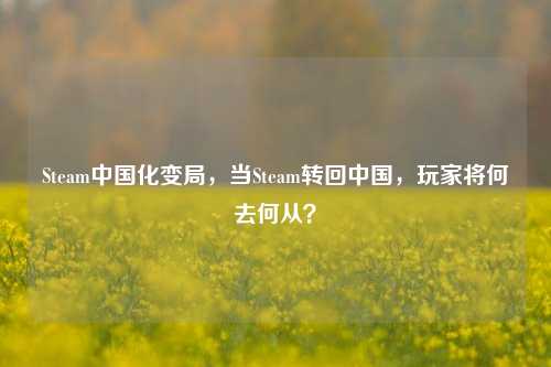Steam中国化变局,当Steam转回中国,玩家将何去何从?