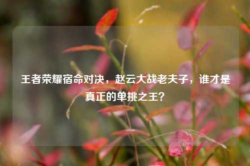 王者荣耀宿命对决，赵云大战老夫子，谁才是真正的单挑之王？
