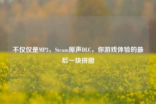 不仅仅是MP3,Steam原声DLC,你游戏体验的最后一块拼图