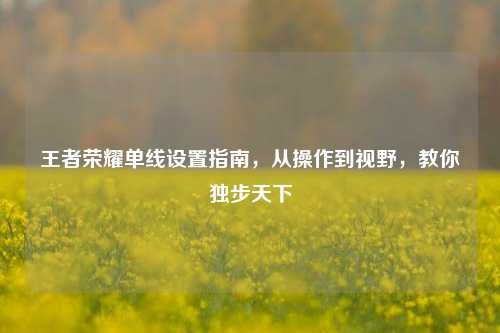 王者荣耀单线设置指南,从操作到视野,教你独步天下
