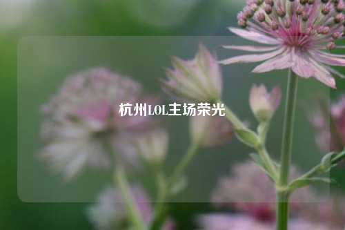 杭州LOL主场荣光