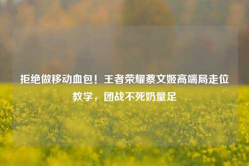 拒绝做移动血包！王者荣耀蔡文姬高端局走位教学，团战不死奶量足