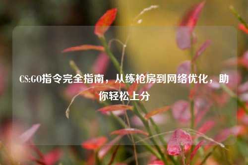 CS:GO指令完全指南，从练枪房到网络优化，助你轻松上分