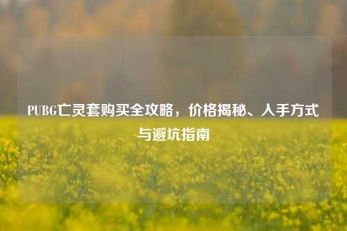PUBG亡灵套购买全攻略,价格揭秘、入手方式与避坑指南