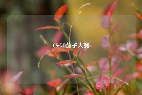 CS:GO茄子大赛