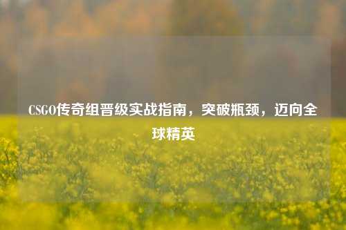 CSGO传奇组晋级实战指南，突破瓶颈，迈向全球精英
