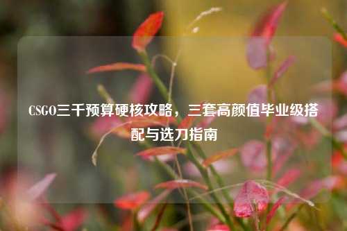 CSGO三千预算硬核攻略，三套高颜值毕业级搭配与选刀指南