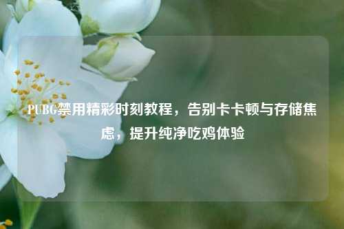 PUBG禁用精彩时刻教程，告别卡卡顿与存储焦虑，提升纯净吃鸡体验
