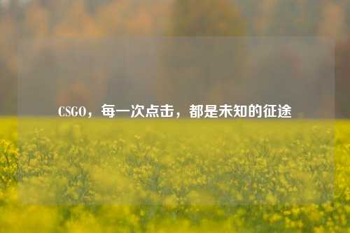 CSGO，每一次点击，都是未知的征途