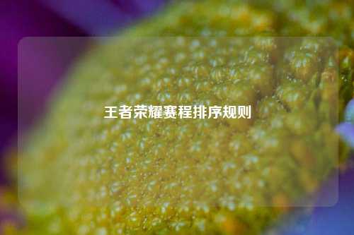 王者荣耀赛程排序规则
