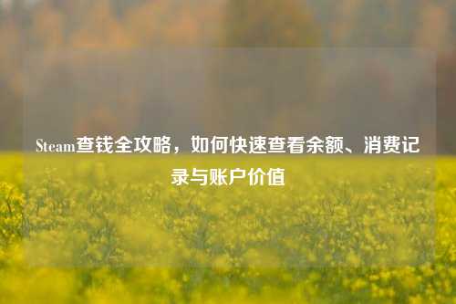 Steam查钱全攻略,如何快速查看余额、消费记录与账户价值