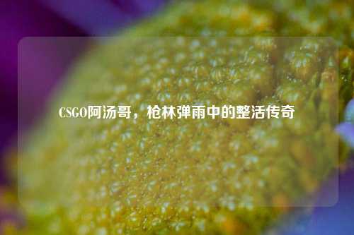 CSGO阿汤哥，枪林弹雨中的整活传奇