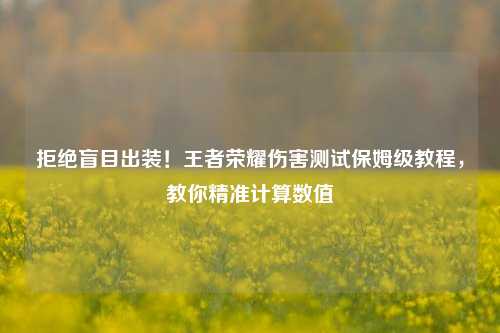拒绝盲目出装！王者荣耀伤害测试保姆级教程，教你精准计算数值