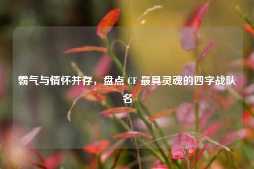 霸气与情怀并存，盘点 CF 最具灵魂的四字战队名
