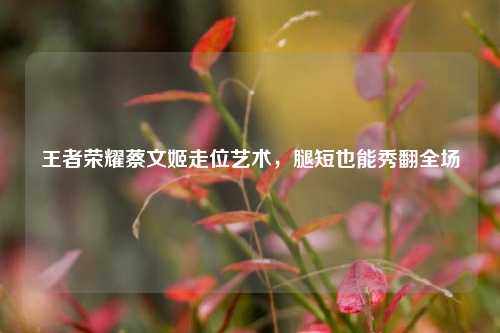 王者荣耀蔡文姬走位艺术，腿短也能秀翻全场