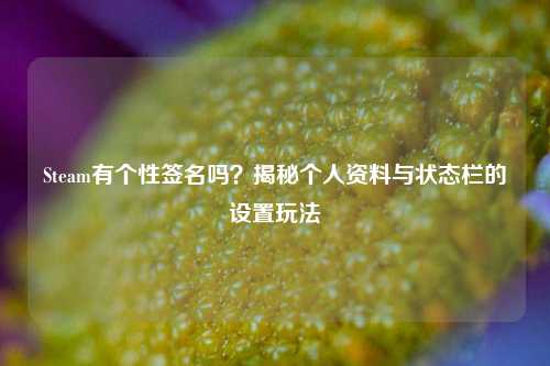 Steam有个性签名吗？揭秘个人资料与状态栏的设置玩法