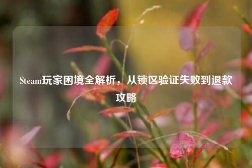 Steam玩家困境全解析，从锁区验证失败到退款攻略