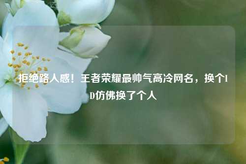 拒绝路人感！王者荣耀最帅气高冷网名，换个ID仿佛换了个人