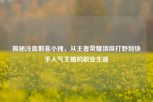 揭秘冷血刺客小拽，从王者荣耀顶级打野到快手人气主播的职业生涯