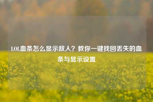 LOL血条怎么显示敌人？教你一键找回丢失的血条与显示设置