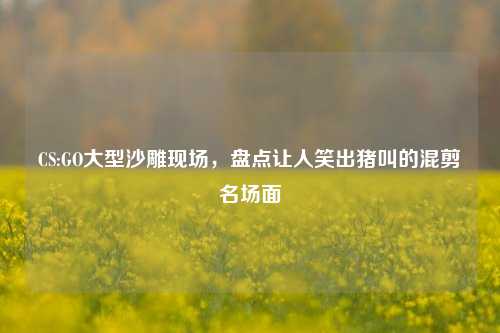 CS:GO大型沙雕现场，盘点让人笑出猪叫的混剪名场面