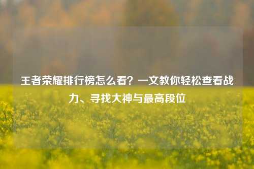 王者荣耀排行榜怎么看?一文教你轻松查看战力、寻找大神与最高段位