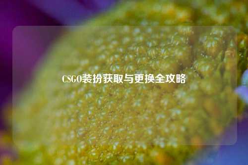 CSGO装扮获取与更换全攻略