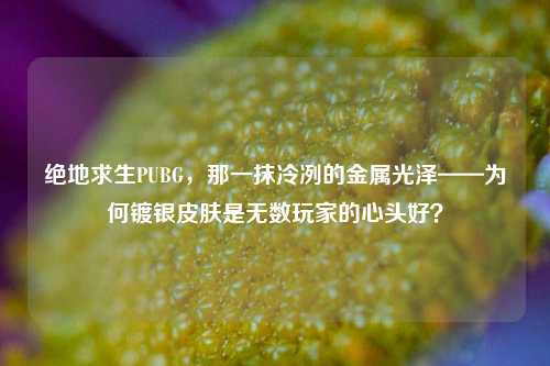 绝地求生PUBG，那一抹冷冽的金属光泽——为何镀银皮肤是无数玩家的心头好？