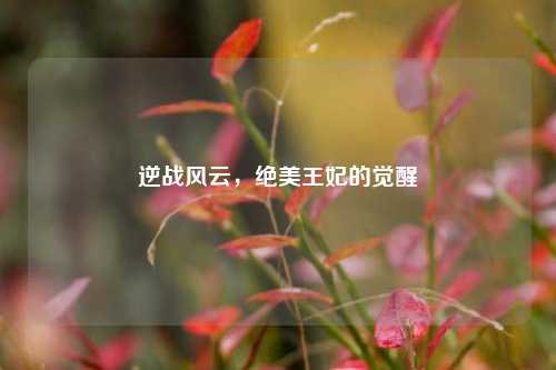 逆战风云，绝美王妃的觉醒